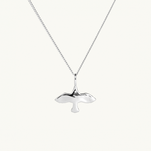 an uneven dove on a necklace