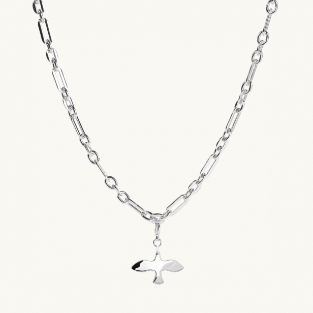 a dove charm on a chunky chain in silver