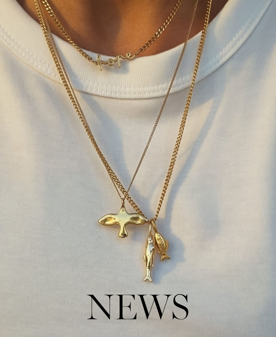 ICHTYS collection - news