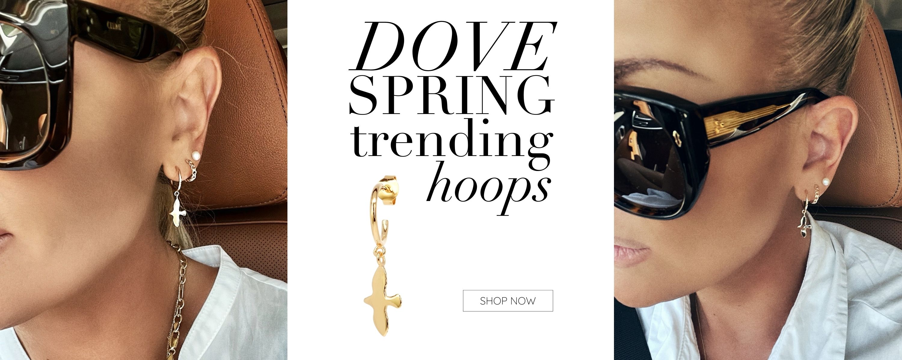 dove collection banner