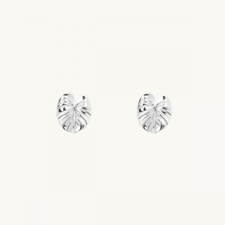 Earrings mini palm leaf, silver