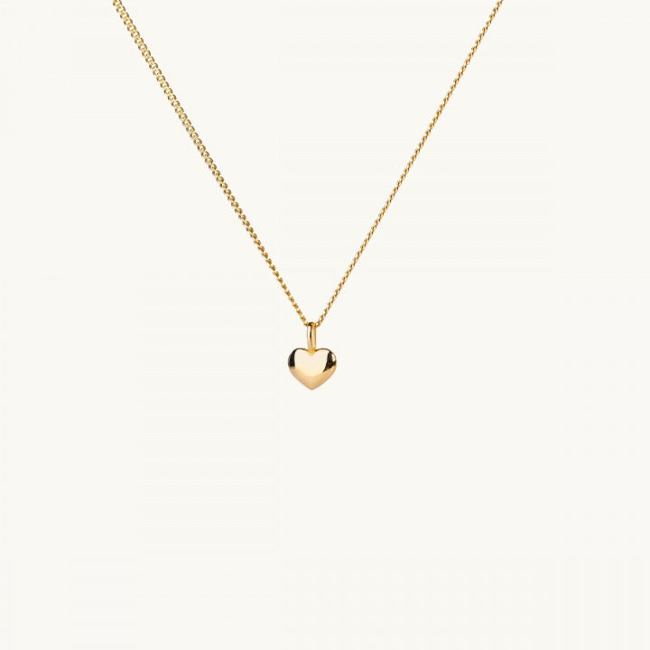 A necklace with a small filled gold heart