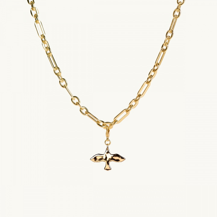 a dove charm on a chunky chain in gold plated brass