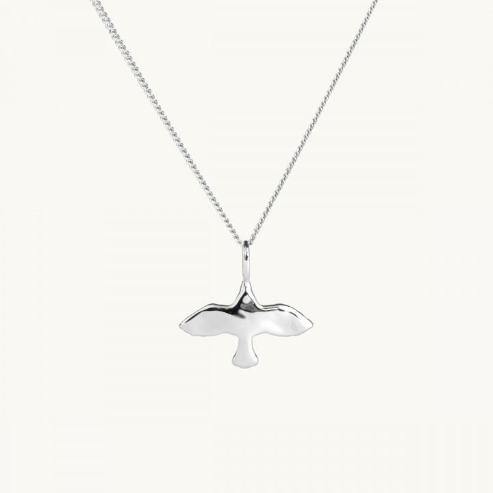 an uneven dove on a necklace
