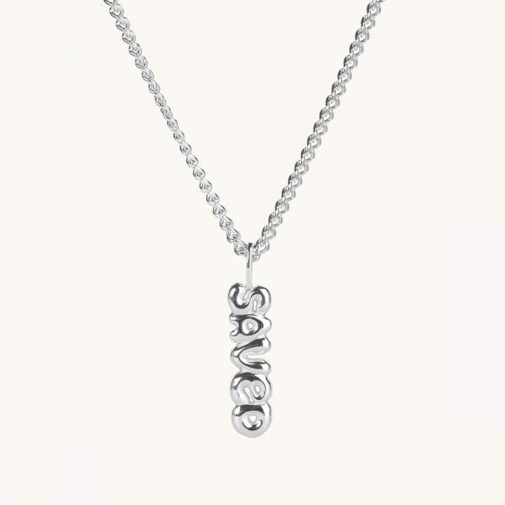 silver necklace saved 