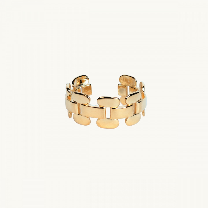 Gold ring with small rectangular links